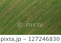 Aerial video of agricultural field with rows of plants 127246830
