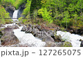 Naena Falls in early summer, Myoko City, Niigata Prefecture 127265075