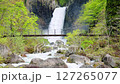 Naena Falls in early summer, Myoko City, Niigata Prefecture 127265077
