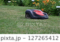 Automated Robot Lawn Mower Efficiently Cutting Grass in a Vibrant Garden Full of Blossoming Flowers 127265412