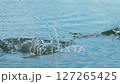 Dynamic Close-Up of Water Splash as Stone Hits Calm Blue Lake Surface in Natural Outdoor Setting 127265425