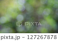 Beautiful soft-focus footage of green leaves creating a natural, calming background 127267878