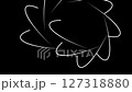 Background with white curves and straight lines arranged in a spiral that appear and disappear on black. The effect of constant movement. Abstraction. Chaos. 127318880