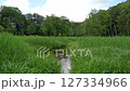 2024年6月大須花自然公園的風景（鳥鳴流水） 127334966