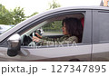 Upset charming African American female driver driving car in city traffic, getting into motor vehicle collision during road trip, expressing confusion and shock after car accident on road. 127347895