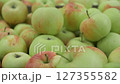 Harvest season for green, ripe, and juicy apples 127355582