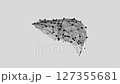 3d animation of a low-poly liver turn-table over white background 127355681