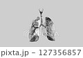 3d animation of a low-poly lungs turn-table over white background 127356857