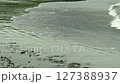 4倍慢動作拍攝海灘 127388937