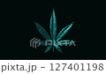 3d animation of marijuana leaf spin isolated on black, 4k video 127401198