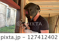 The welder works with a welding machine. 	A builder uses a welding machine to make a window frame. 127412402