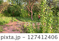 A motorcyclist rides off-road on a sports motorcycle. 127412406