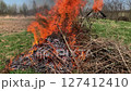 A large fire of dry grass is burning, forest fires. 127412410