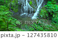 東京都西多摩區日之出町白岩瀑布 127435810