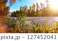 Meadow at mountain river bank. Landscape with green grass, pine trees and sun rays. Movement on motorised slider dolly. 127452041