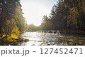 4K mountain river timelapse at the summer or autumn time. Wild nature, clear water and rural evergreen valley. Sun rays, small creek and yellow grass. Motorised dolly slider movement 127452471