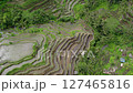 Drone shot of the rice terraces of Tegallalang, Bali 127465816