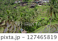 Drone shot of the rice terraces of Tegallalang, Bali 127465819