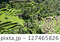 Drone shot of the rice terraces of Tegallalang, Bali 127465826