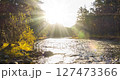 4K mountain river timelapse at the summer or autumn time. Wild nature, clear water and rural evergreen valley. Sun rays, small creek and yellow grass. Motorised dolly slider movement 127473366