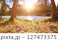 Meadow at mountain river bank. Landscape with green grass, pine trees and sun rays. Movement on motorised slider dolly. 127473375