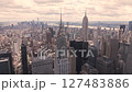 Aerial view of New York City's, Manhattan. 127483886