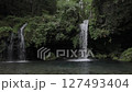 森林の中で清流を生み出す滝 127493404