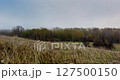 Mountain meadow timelapse at the autumn sunrise time. Wild nature and rural grass field. Morning heavy fog, sun rays and trees. Motorised dolly slider 127500150