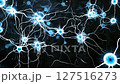 neural network connections evolving with pulsating electric currents, Dynamic electric blue synapses and neurons on black background 127516273