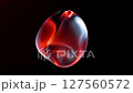 Vibrant Red Blue Abstract Fluid Shape Looping with Smooth Motion 127560572