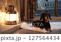 Black dachshund sitting next to the fireplace_2 127564434