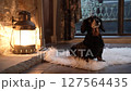 Black dachshund sitting next to the fireplace_1 127564435