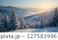 Magical Winter Morning: Aerial Snowscape to Sparkling Frost Close-Ups 4K Peaceful Nature Footage. 127583996