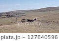 Nomads of Mongolia 127640596