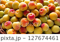 Multiple plums, fully ripe plums, plum season 127674461