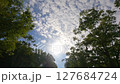Hiking: Sky and Forest 127684724
