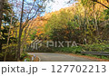 Autumn foliage driving shots Venus Line 127702213