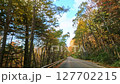 Autumn foliage driving shots Venus Line 127702215