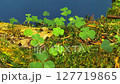 A Lush Moss-Covered Log on a Blue Screen, Ideal for Eco-Awareness and Conservation-Themed Video Projects. Perfect for Visual Storytelling on Forest Preservation, Sustainability, and Nature Protection. 127719865