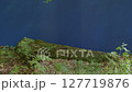 A Moss-Covered Log Set Against a Blue Screen, Ideal for Adding Forest, Fantasy, or Ecological Elements to Videos. Perfect for Nature Scenes, AI Compositing, Magical Themes, and Environmental Concepts 127719876
