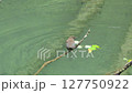 白神山地の野鳥（初夏） 127750922