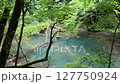 初夏の白神山地（十二湖） 127750924