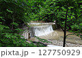白神山地の水門 127750929
