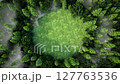3D animation render of a lush forest with a circular green clearing viewed from above 127763536