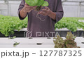 Portrait of Young Asian male gardener picks vegetables and smiles in hydroponic farm 127787325