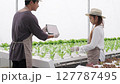Asian gardener works on hydroponics farm 127787495