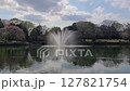有美麗噴泉的公園 127821754