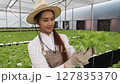 Portrait of Young Asian Female gardener picks vegetables and smiles in hydroponic farm 127835370