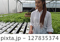 Young Asian farmer working in hydroponic farm 127835374