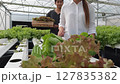 Young Asian farmer working in hydroponic farm 127835382